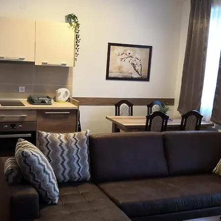 Kraljevi Cardaci Aartment 1027 Fuer 6 Personen Appartement Kopaonik