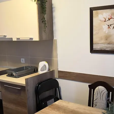Kraljevi Cardaci Aartment 1027 Fuer 6 Personen * Kopaonik